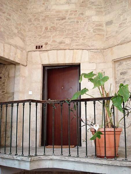 Petit Paradis Nemausus نيم المظهر الخارجي الصورة