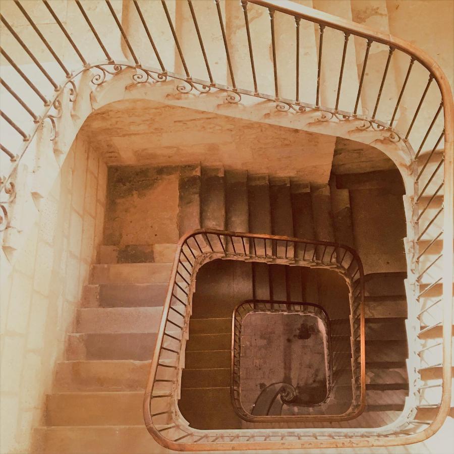 Petit Paradis Nemausus نيم المظهر الخارجي الصورة